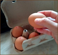 Картонный контейнер-лоток для яиц