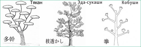 Стили ниваки – Тякан, Эда-сукаши, Кобуши