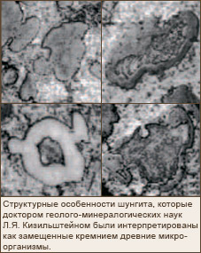 Структурные особенности шунгита