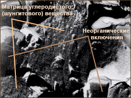 Особенности структуры шунгита