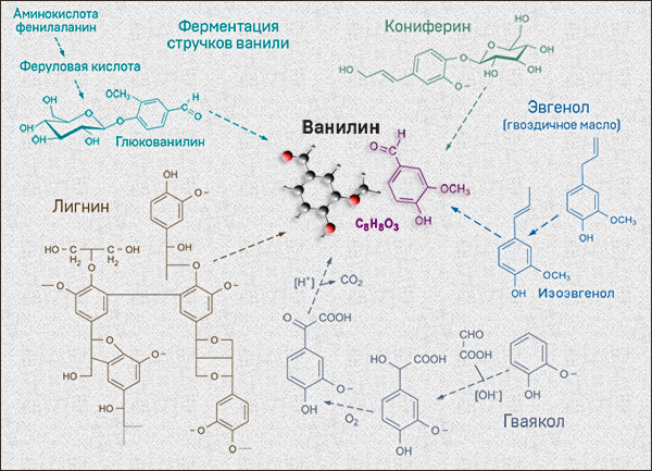 Как получают синтетический ванилин