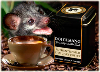 Кофе Kopi Luwak