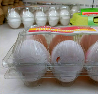 Пластиковый контейнер-лоток для яиц