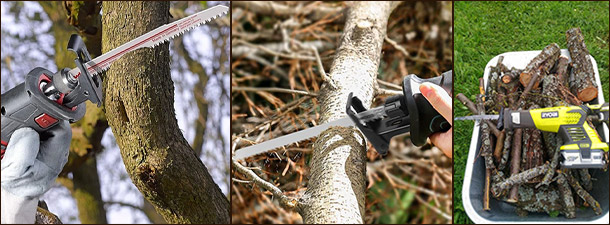 Сабельная пила в саду