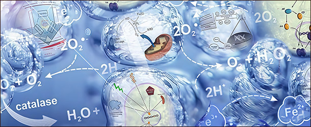 Антиоксиданты