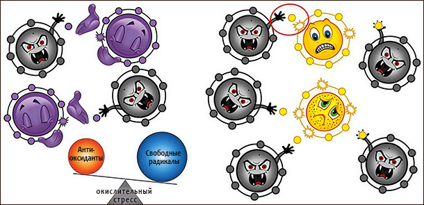 Окислительный стресс
