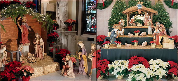 Пуансеттия на Рождество