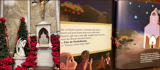 Легенда о пуансеттии