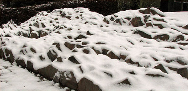 Чешская скалка (crevice garden)
